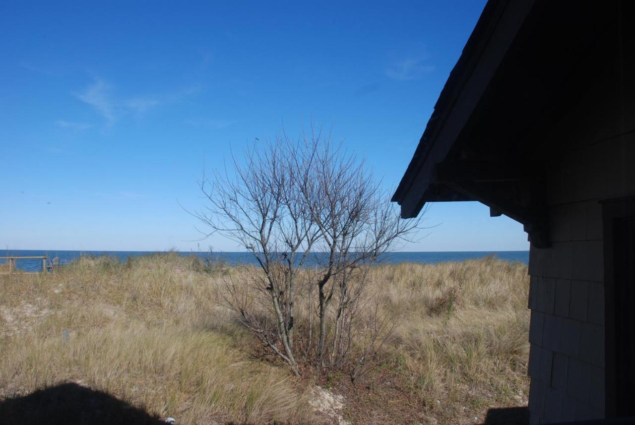 Rustic Rooftop Delight - Bay Front Apts Norfolk Dış mekan fotoğraf